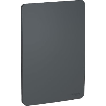 [Imagem PLACA 4X2 CEGA STELLAR BLACK (PRETA) ORION S730100294 SCHNEIDER]