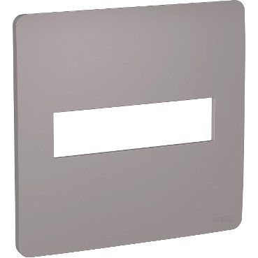 [Imagem PLACA 4X4 2 POSTOS AXIS GREY (CINZA) ORION S730201224 SCHNEIDER]