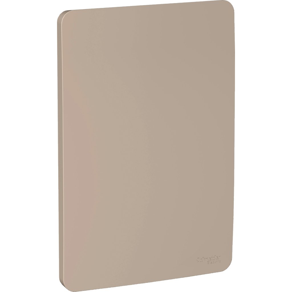 [Imagem PLACA 4X2 CEGA BEGE S730100064 SCHNEIDER]