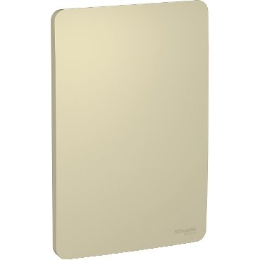 [Imagem PLACA 4X2 CEGA HORIZON GOLD (DOURADA) ORION S730100234 SCHNEIDER]