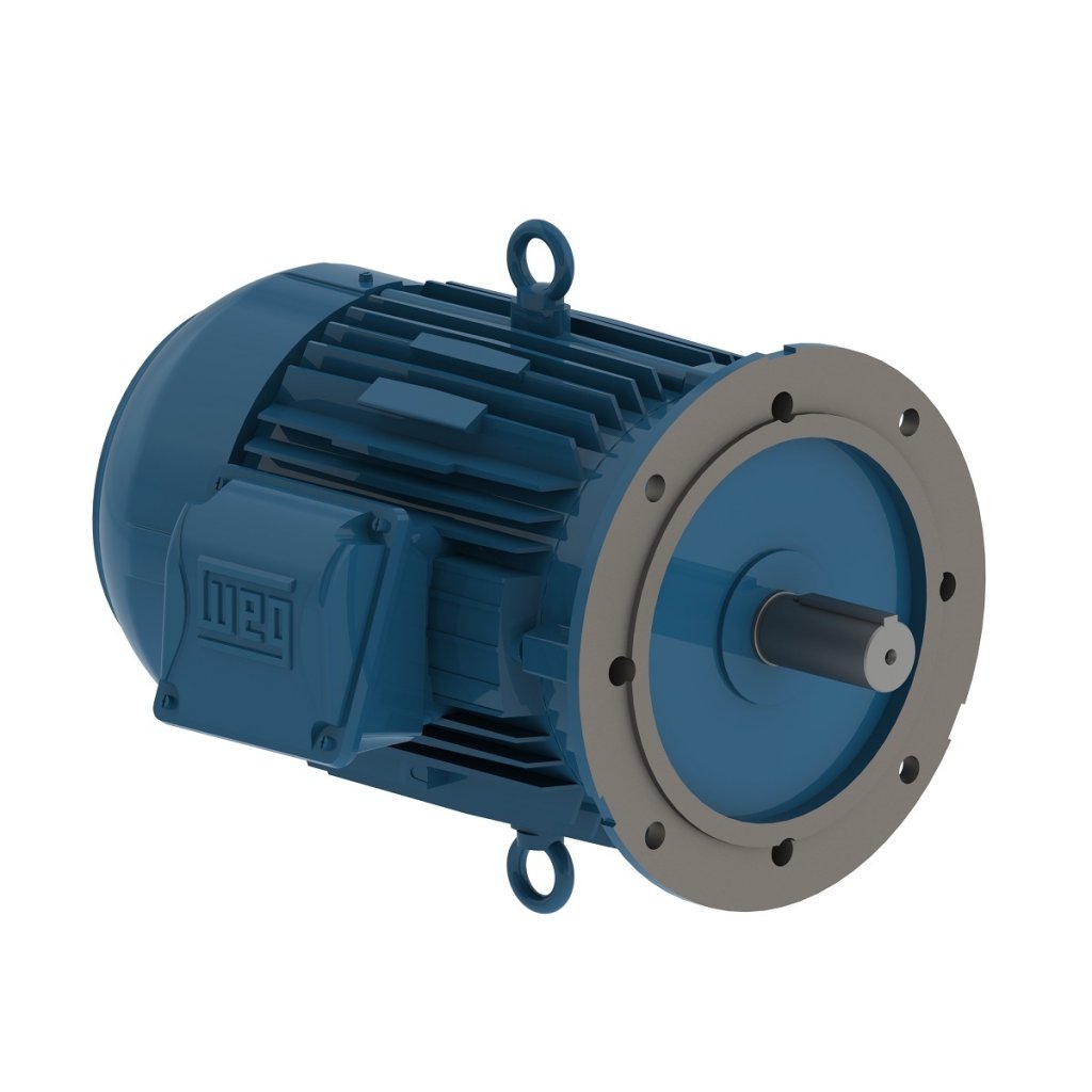 [Imagem MOTOR CA TRIFÁSICO 0,3/0,54CV 1,0/0,86A 440V 1750/850RPM 60HZ IP54 R60D WEG]