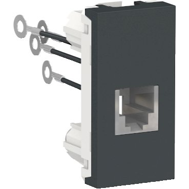 [Imagem MOD TOM RJ11 (4 FIOS) 1M GR - S70549194 SCHNEIDER]