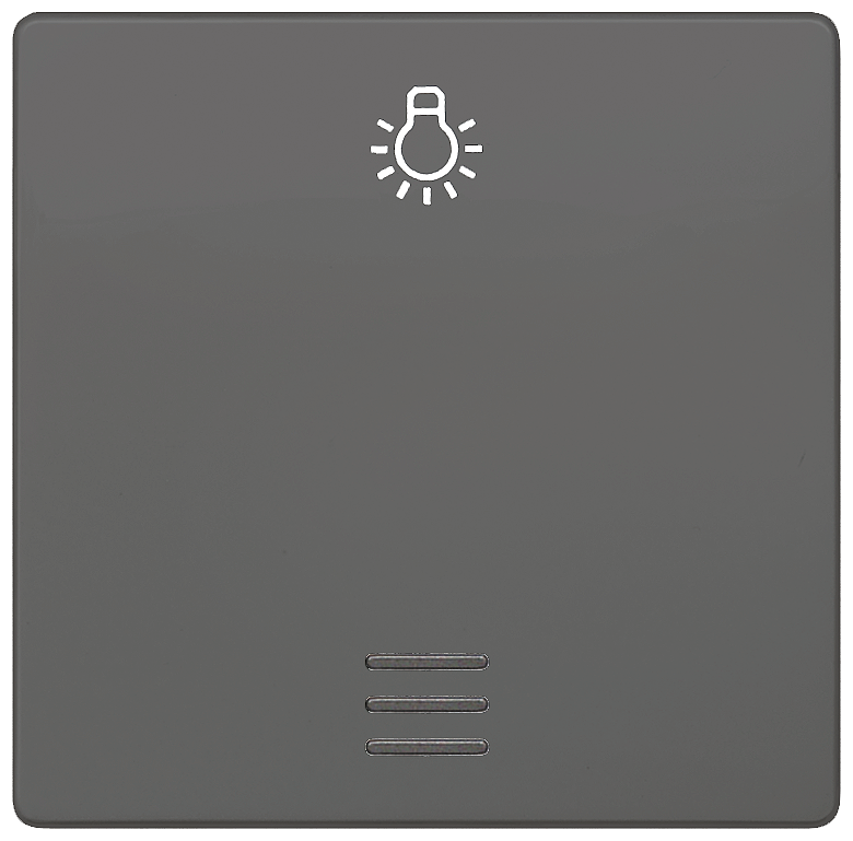 BÁSCULA COM JANELA E SÍMBOLO LUZ CARBONO METÁLICO 5TG6226 SIEMENS